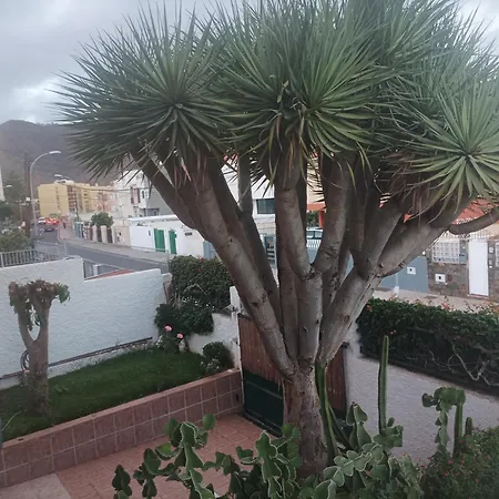 Casa Quico Santa Cruz de Tenerife