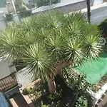 Casa Quico Santa Cruz de Tenerife