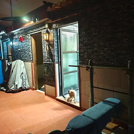 Casa Quico 招待所 圣克鲁斯-德特内里费